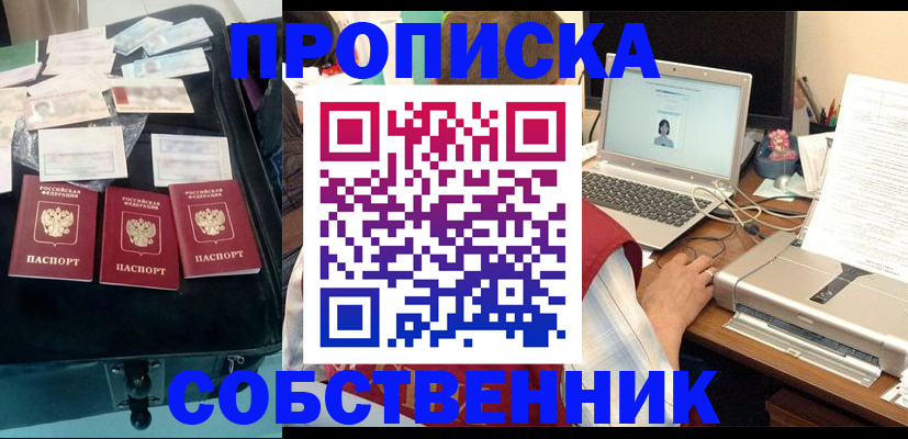 регистрация для дет. сада в Камчатской области